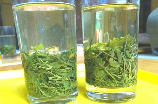 茶葉為什么不能亂送人，買茶葉一次送一盒還是兩盒