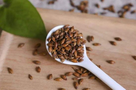 大麥茶上火嗎，喝大麥茶會不會上火？