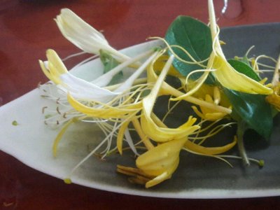 喝茶治口臭嗎，什么茶治口臭好？