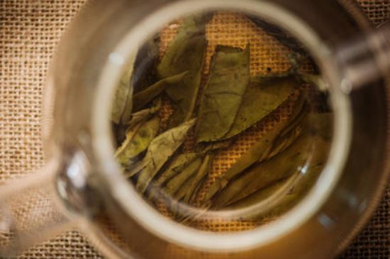 苦丁茶副作用，苦丁可以經(jīng)常喝嗎？