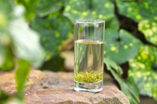 碧螺春沖泡三要素，碧螺春怎么泡才正確？