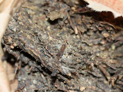 長期飲用黑茶的副作用，黑茶的功效與作用