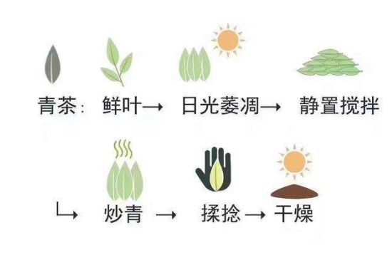 茶葉名稱大全和圖片，茶葉名字大全三四個字！