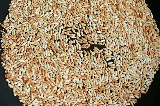 玄米茶是紅茶嗎，玄米茶怎么喝