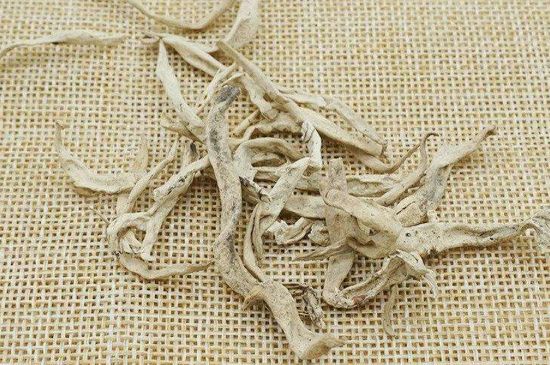 麗江雪茶的功效與作用，白雪茶有什么功效和作用