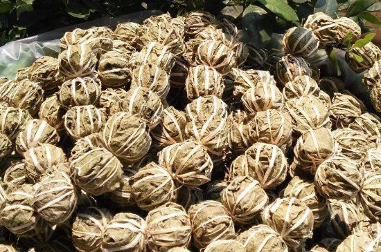 鷓鴣茶的禁忌，海南鷓鴣茶副作用