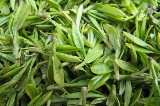 世界最貴的茶葉排行榜，十大最貴的茶