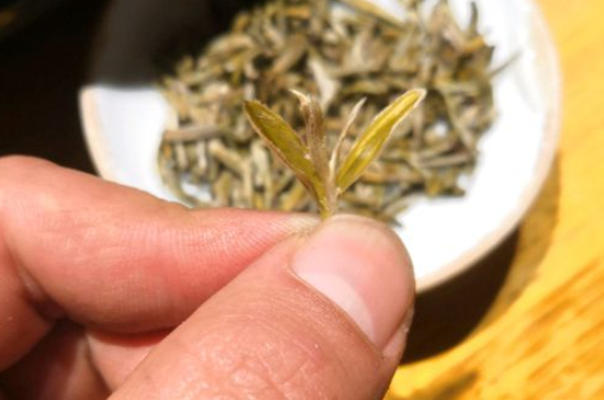 六大茶類哪種適合長期存放，日常如何保存方法一覽？