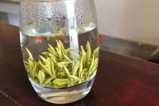 安吉白茶耐寒嗎，白茶適合放冰箱嗎