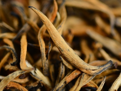 怎么知道什么茶葉適合自己，怎么判斷自己適合喝什么茶？