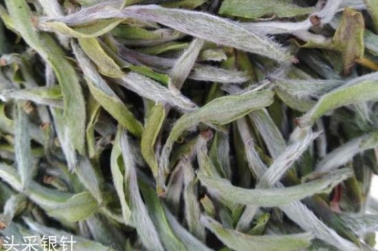 春茶季怎么辨別白毫銀針的好壞，好的白毫銀針如何選購？