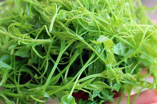 茅巖莓茶保質(zhì)期有多久，張家界莓茶存放時(shí)間長了還能喝嗎？