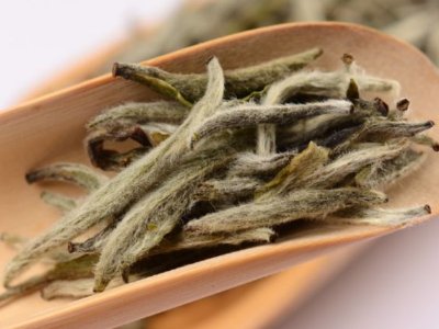 白毫銀針放幾年最好，白毫銀針什么年份最好？