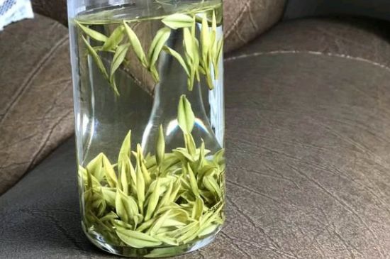 安吉白茶夏天怎么保存，安吉白茶能冷凍儲(chǔ)存嗎？