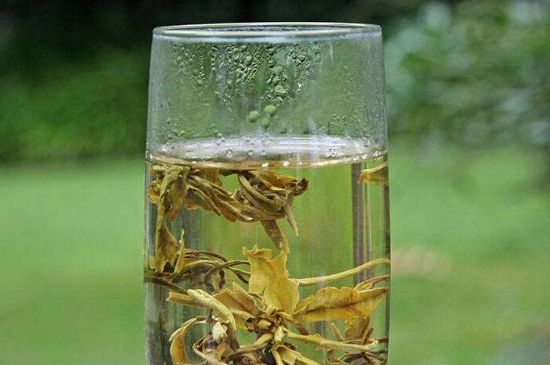 茉莉龍珠什么人不能喝，茉莉龍珠茶什么體質(zhì)不能喝？