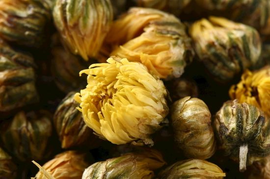 蒲公英搭配大全，蒲公英泡水喝的8種搭配