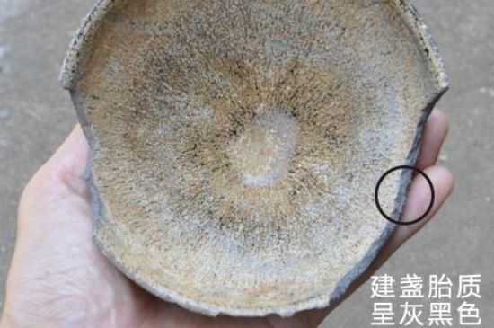 假建盞的特點(diǎn)，真假建盞區(qū)分帶圖