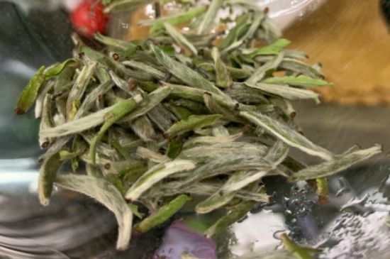 蒸汽煮茶器適合什么茶，蒸汽煮茶器適合用綠茶嗎？
