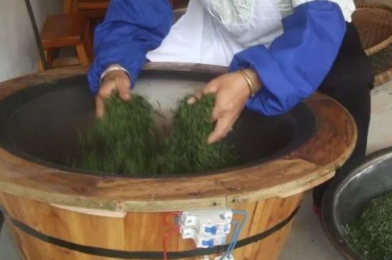 自家炒茶葉怎么炒，自己炒茶葉的步驟