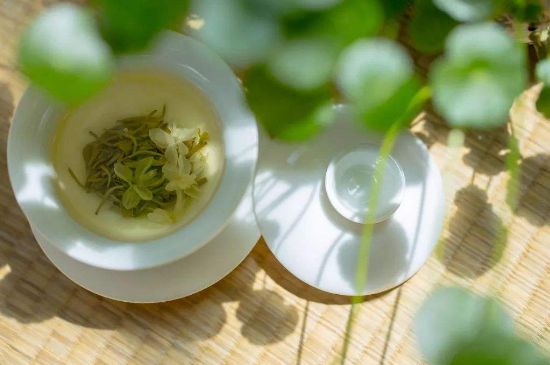 茉莉花茶6種人不要喝，什么體質(zhì)不適合喝茉莉花茶？