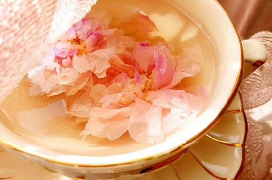 玫瑰花茶一周喝幾次，玫瑰花茶可以天天喝嗎？