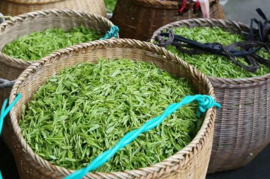 茶葉怎么炒制才香，怎樣炒茶葉更香？