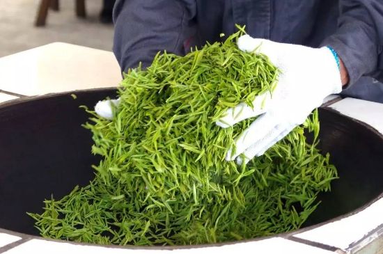 自家炒茶葉怎么炒，自己炒茶葉的步驟