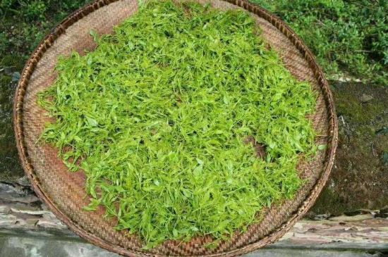 茅巖莓茶加工工藝，莓茶的工藝制作過程
