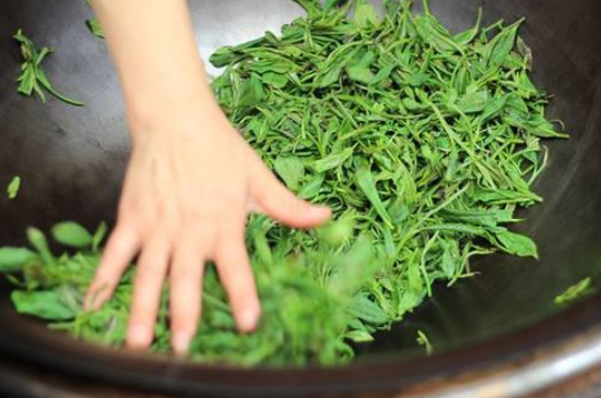 炒青綠茶與綠茶的區(qū)別，烘青和炒青哪個好喝？