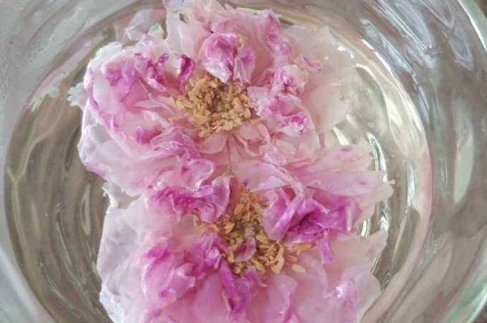 玫瑰花茶上火嗎，盲目喝玫瑰花茶易上火