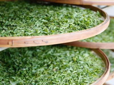 云南八大茶系分別是哪些，都是什么名字