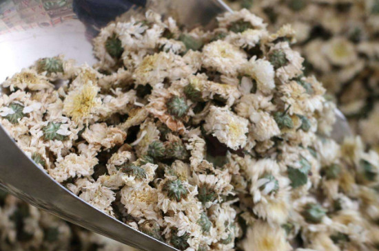 菊花茶買小朵還是大朵，泡茶用的小菊花和大菊花哪個好