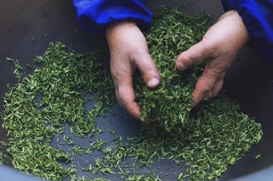 自家炒茶葉怎么炒，自己炒茶葉的步驟