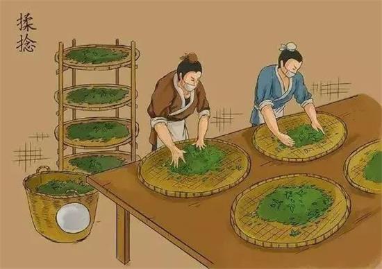 制茶八步驟，制茶工藝流程圖