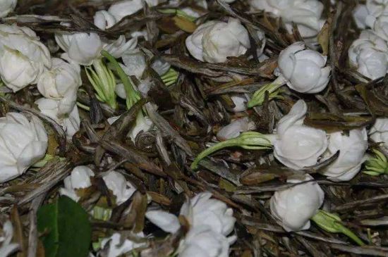 茉莉龍珠怎么做的，茉莉龍珠的制作工藝