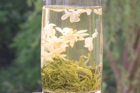 茉莉龍珠可以和什么一起泡茶，茉莉龍珠茶能加蜂蜜嗎？