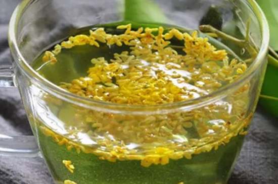 茉莉茶一次泡幾朵，茉莉茶放多少