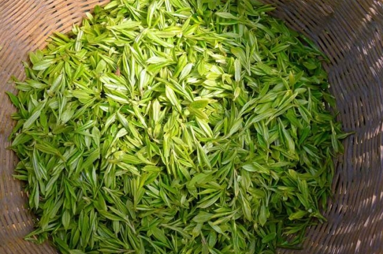 烏牛早和龍井的區(qū)別圖片，龍井43號(hào)和烏牛早茶的對(duì)比