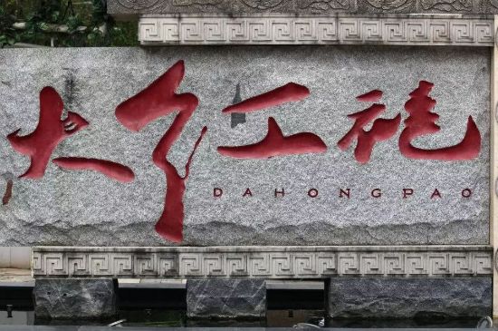 母樹大紅袍給誰喝了，為什么母樹大紅袍叫三棵六株？