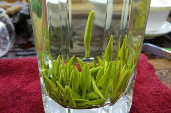 雀舌有一股青草味，雀舌為什么有青草味？