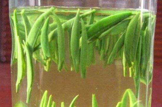 竹葉青和毛尖的區(qū)別，毛尖和竹葉青怎么分辨？