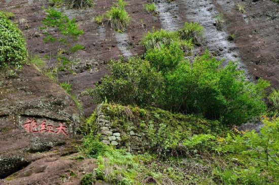 武夷巖茶大紅袍，喝起來是什么味道？