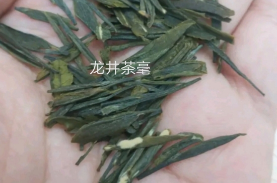 西湖龍井茶毫和發(fā)霉區(qū)別圖片，長霉的龍井茶葉會是什么樣？
