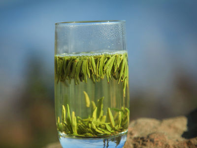 竹葉青茶怎么樣，檔次較高味道略苦價(jià)格比較貴