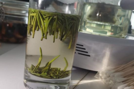 金壇雀舌算不算好茶，金壇雀舌屬于什么檔次茶葉？