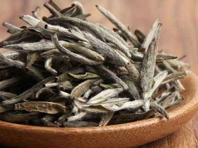 白茶有哪些品種排名，<a href=http://www.zzsas.com/fenlei/baicha/ target=_blank class=infotextkey>白茶的種類</a>大全