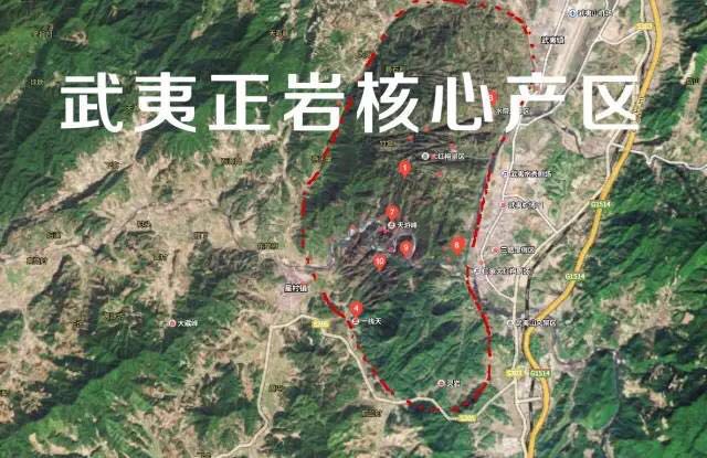 武夷山為什么盛產(chǎn)茶葉，武夷山茶為什么好喝？