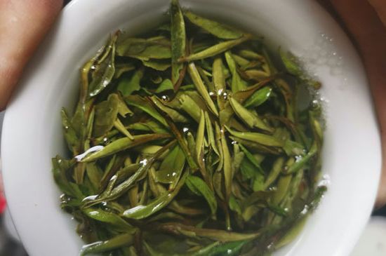 什么人不能喝白茶，白茶不宜什么人喝？