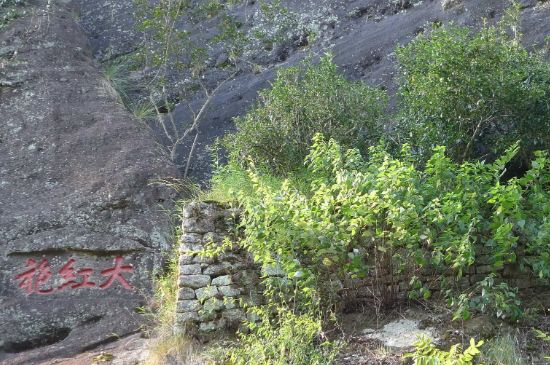 母樹大紅袍給誰喝了，為什么母樹大紅袍叫三棵六株？