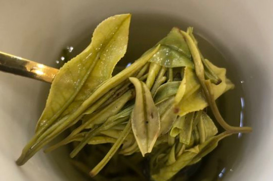 新舊白茶怎么區(qū)分，怎么分辨白茶是新還是舊